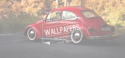 Wallpaper: VW Beetle – They Found Each Other